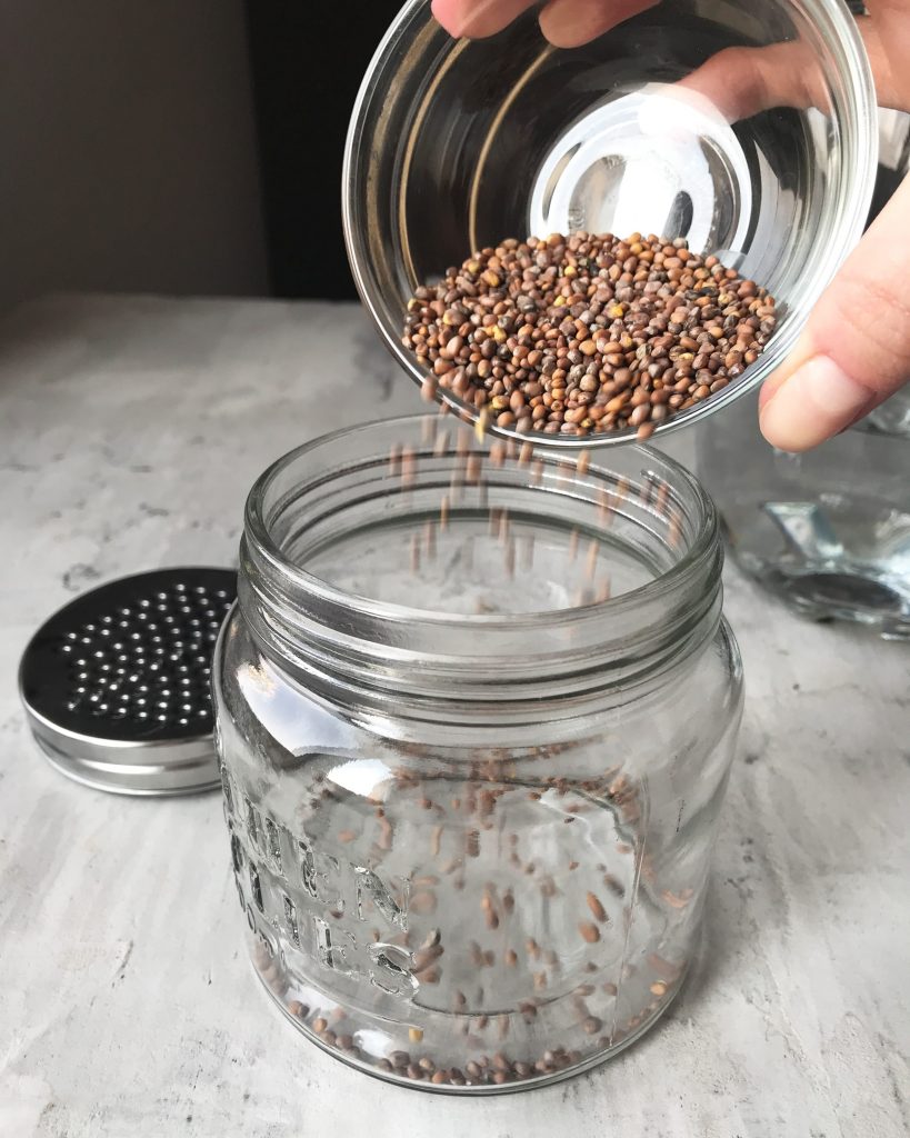 how to sprout seeds at home