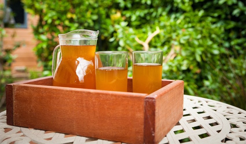 What is Kombucha and Why Is It So Popular