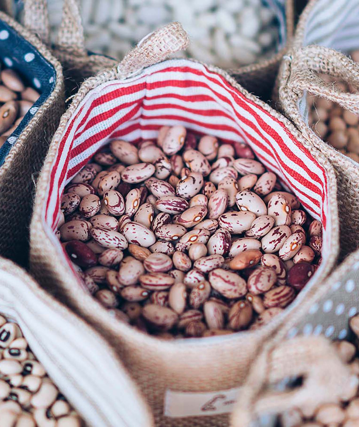 Pinto Beans: Benefits, Nutrition, And Uses