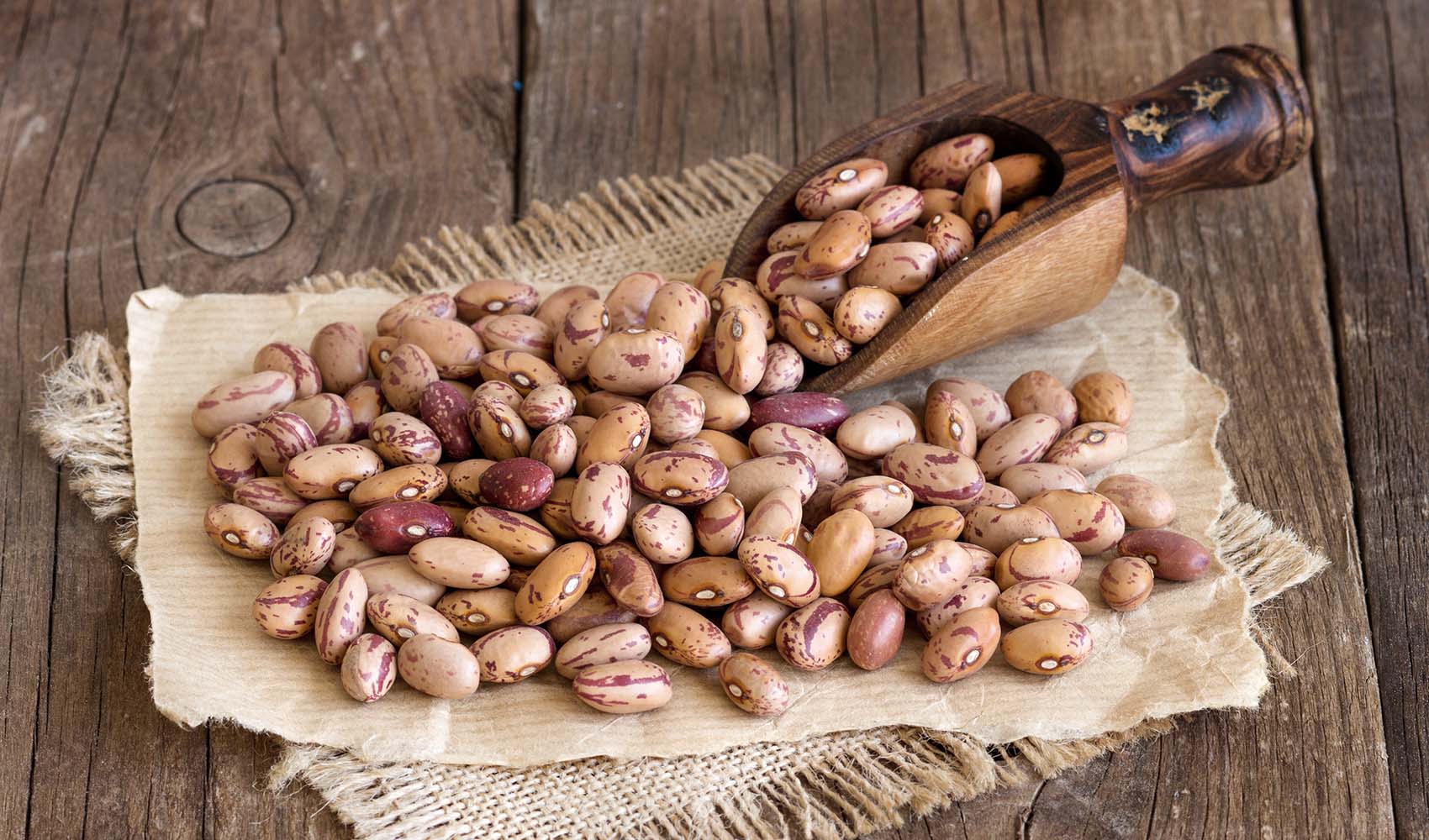 Pinto-Beans-Benefits-Nutrition-And-Uses