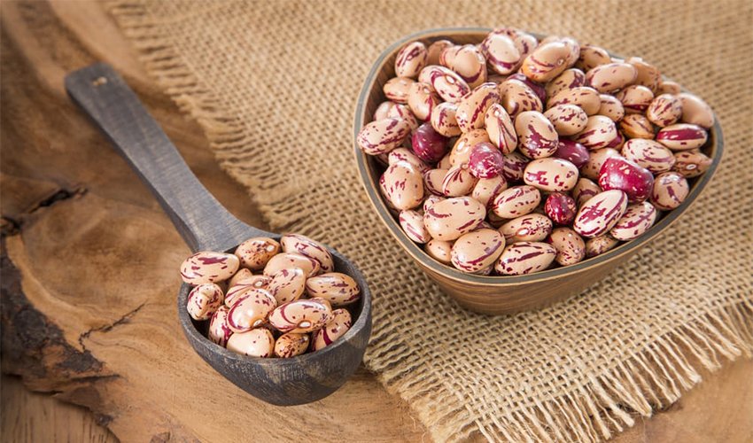 Protein and Carbs in Pinto Beans