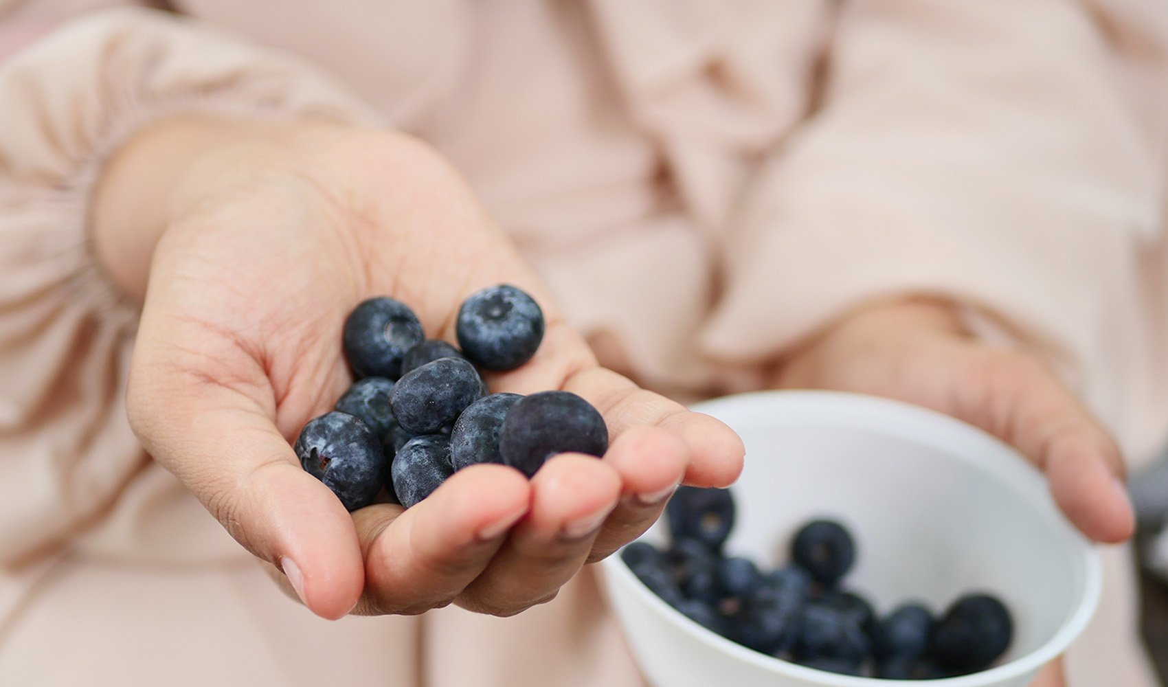 nutritional-comparison-blueberries-vs-blackberries-2