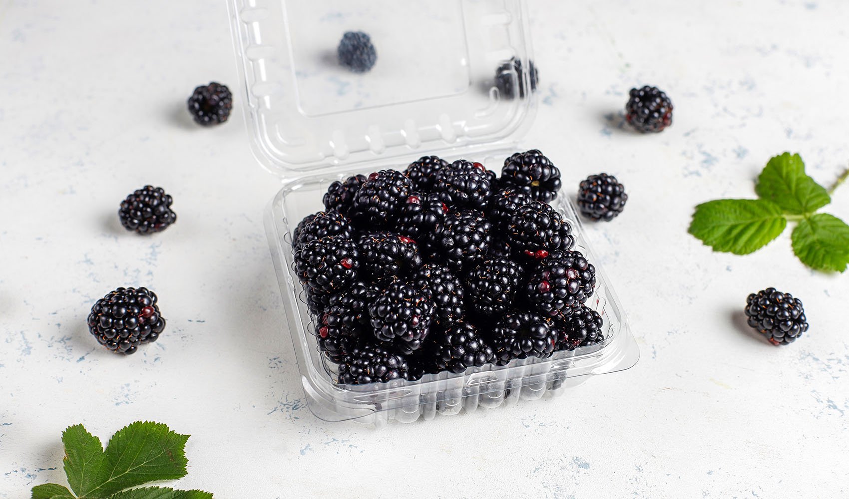 nutritional-comparison-blueberries-vs-blackberries-3