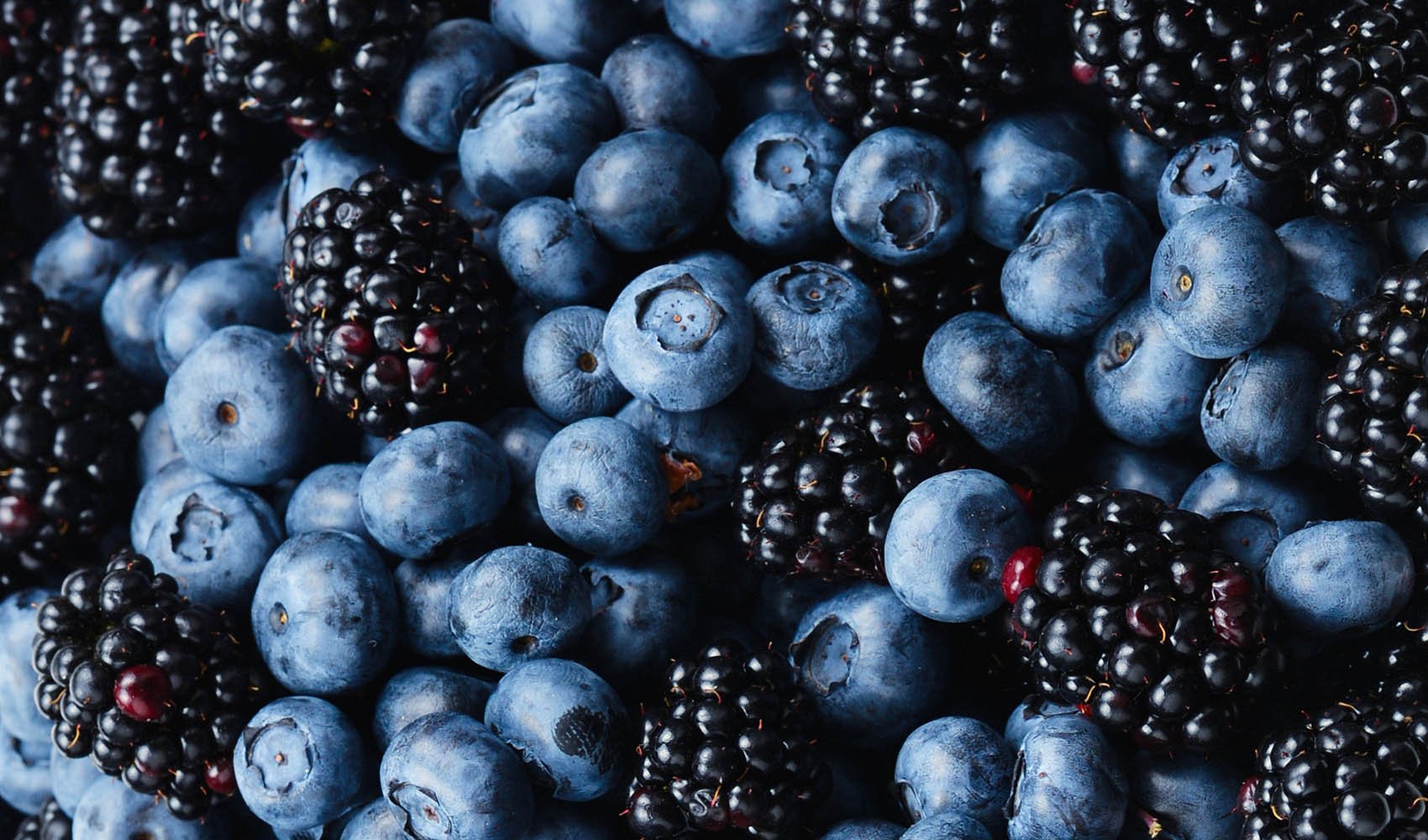 nutritional-comparison-blueberries-vs-blackberries-4