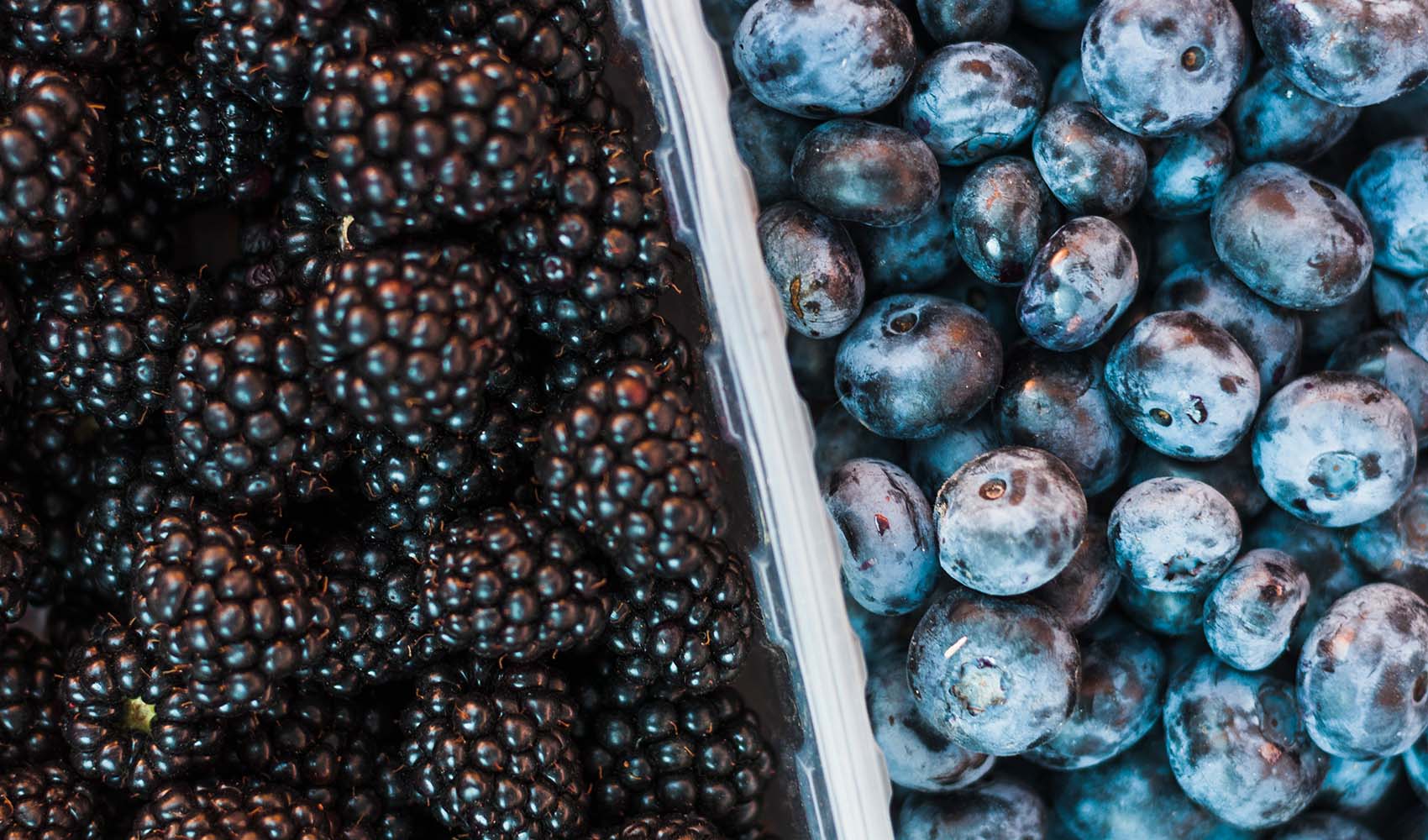 nutritional-comparison-blueberries-vs-blackberries