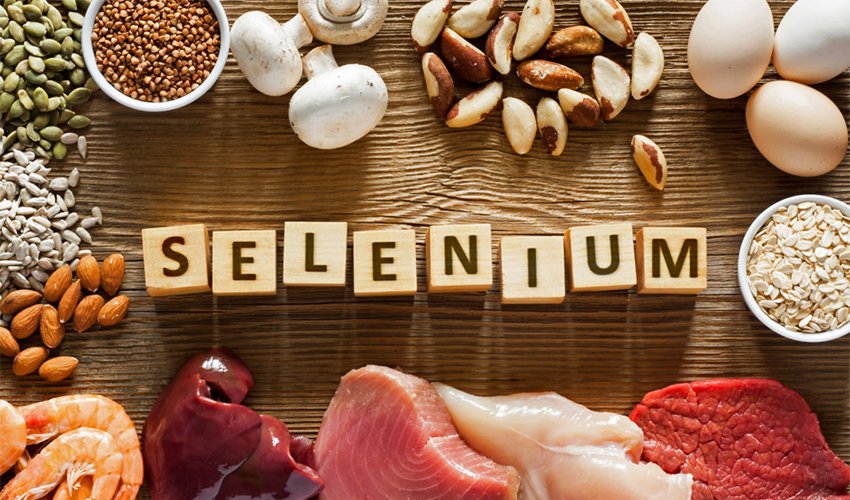 Selenium Health Benefits and Top High Selenium Foods Healthy Blog