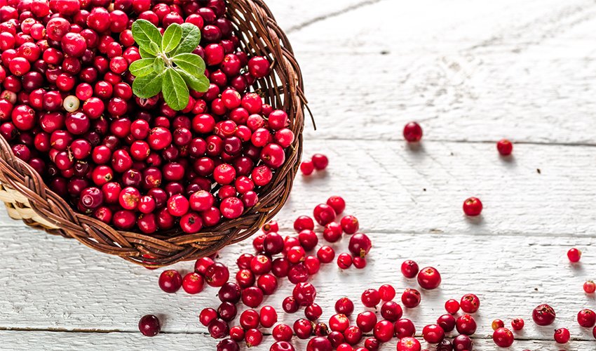 Cranberry Benefits and Nutrition: 7 Healthy Reasons To Eat More