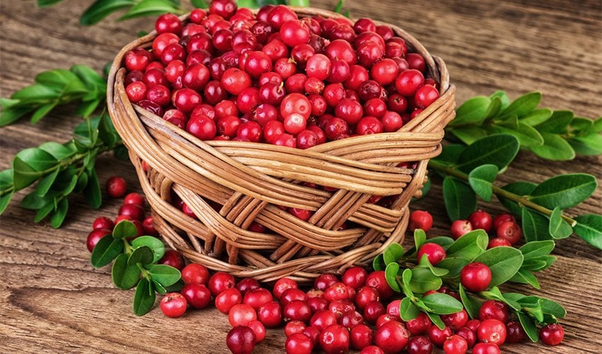 Health Benefits Of Cranberries