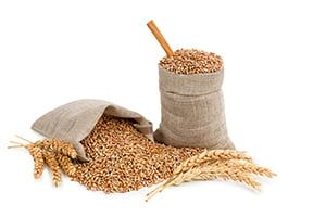 Wheat Berries: a Natural Nutrient Boost Available for Everyone
