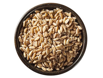 Nutritional Comparison: Farro vs Barley