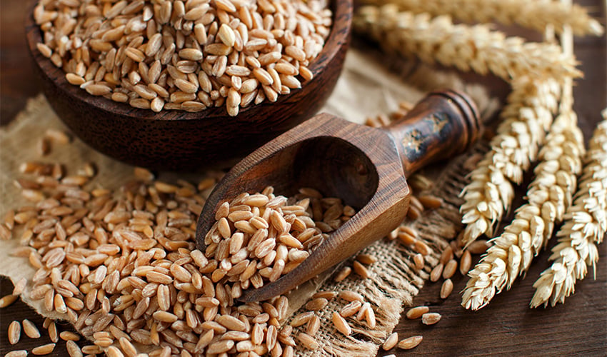 Nutritional Comparison: Farro vs Barley