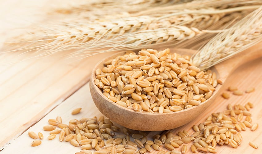Nutritional Comparison: Farro vs Barley