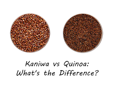 Kaniwa vs. Quinoa: What’s the Difference?