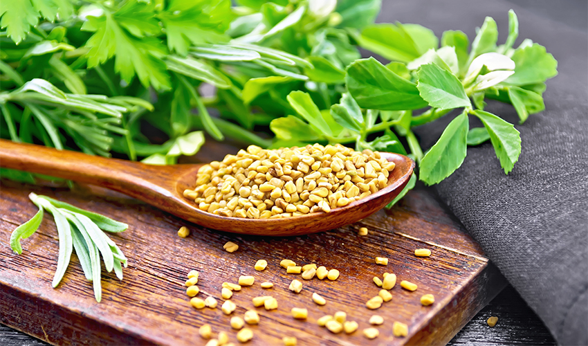 Top 10 Science-Based Health Benefits of Fenugreek Seeds – Healthy Blog