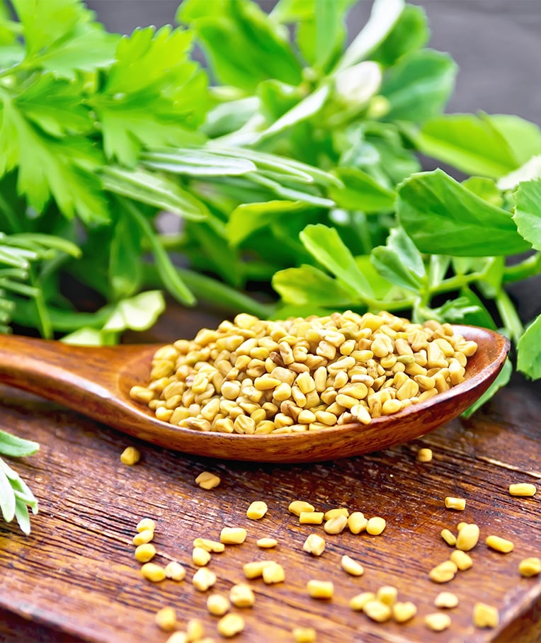 Top 10 Science-Based Health Benefits of Fenugreek Seeds – Healthy Blog