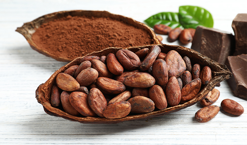 Cacao Beans: Health Benefits and Ways To Use