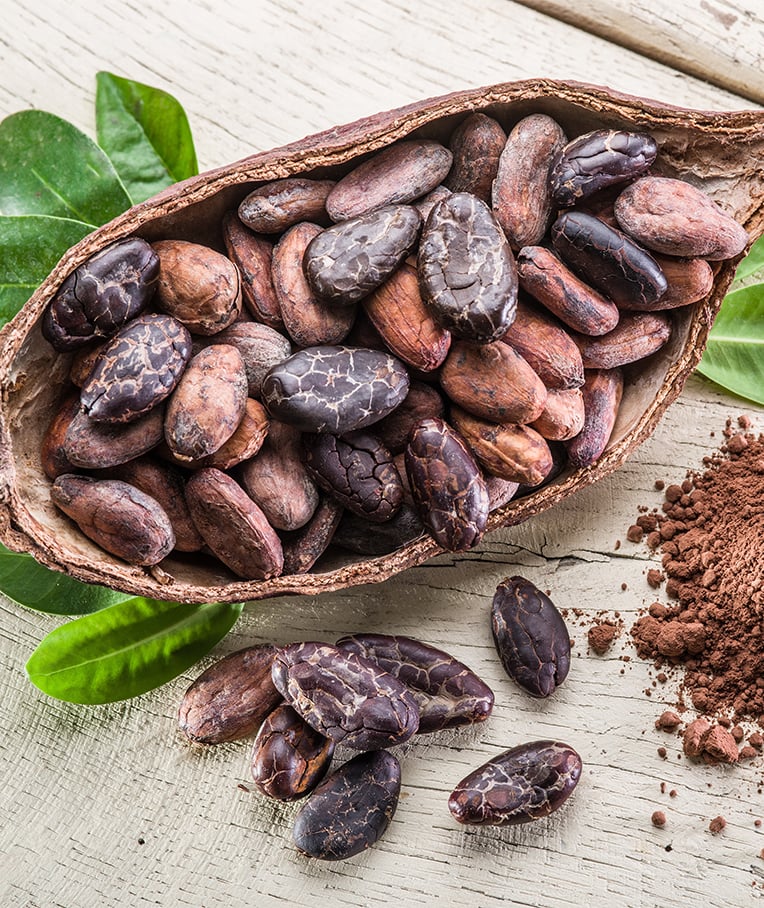 Cacao Beans: Health Benefits and Ways To Use