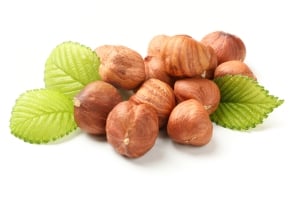 Delicious and Nutritious: Health Benefits of Hazelnuts