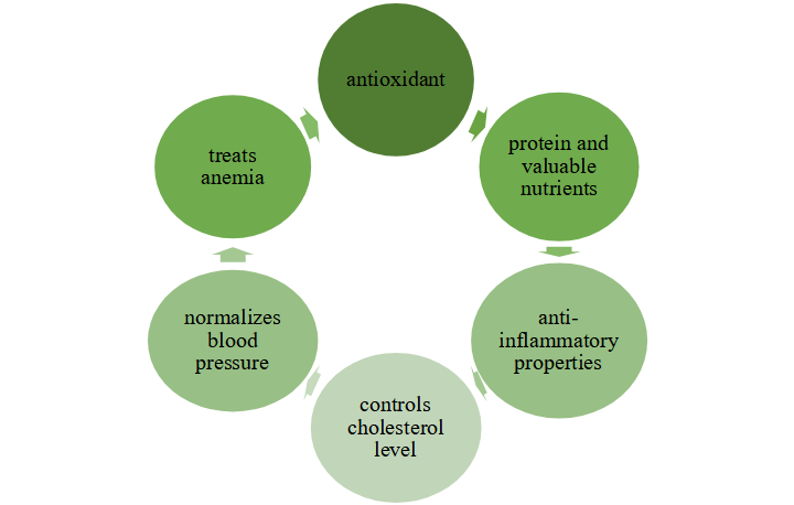 What is Blue Spirulina