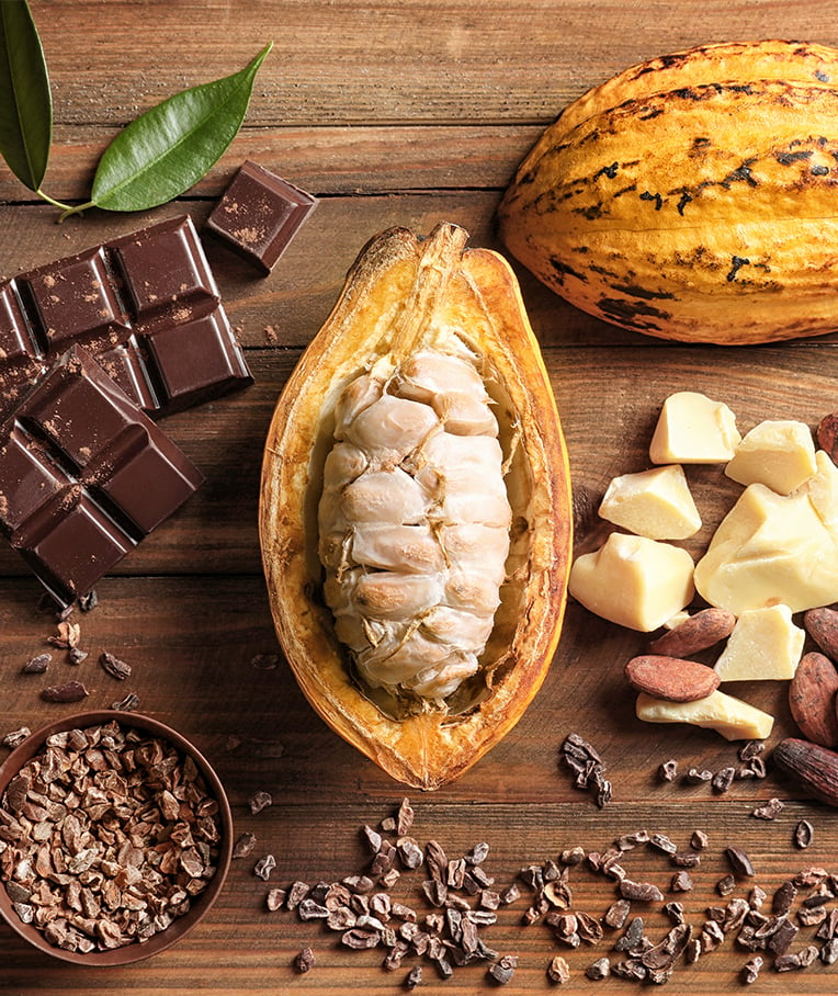 Cacao Guide: Raw Cacao and its Products