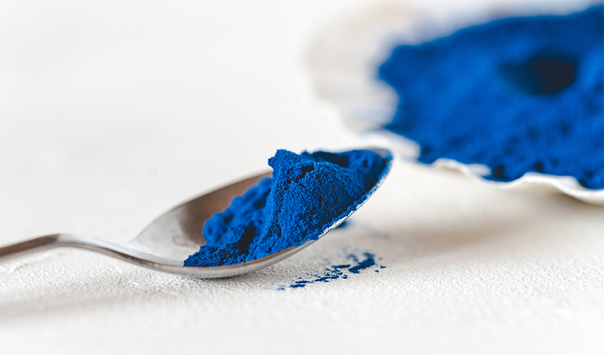 Blue algae powder sale