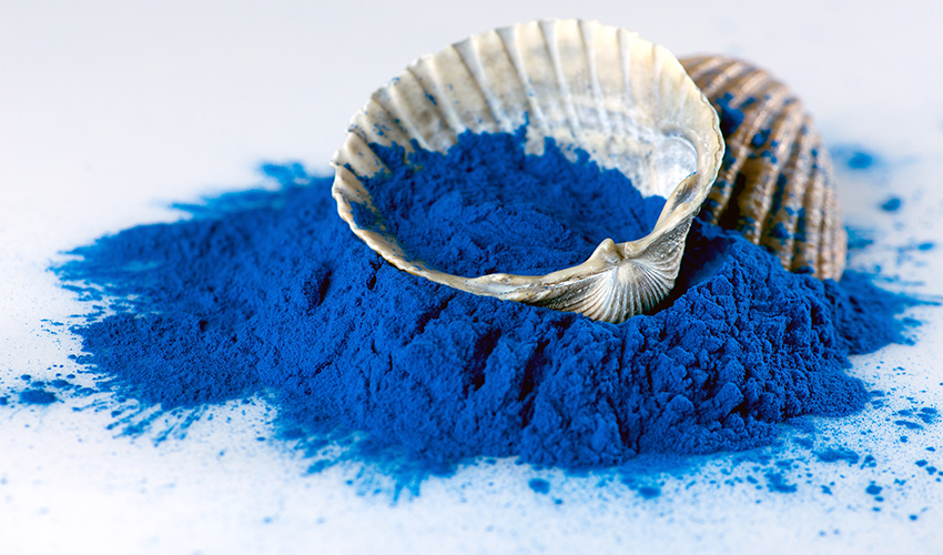 Blue 2025 spirulina plant