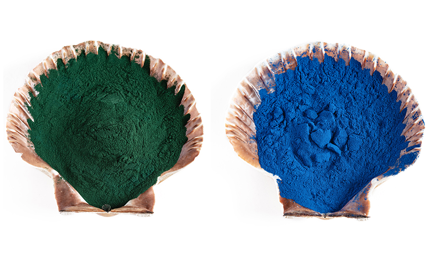 What is Blue Spirulina Healthy Blog