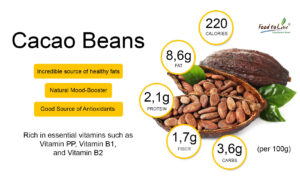cacao-beans-health-benefits-blog
