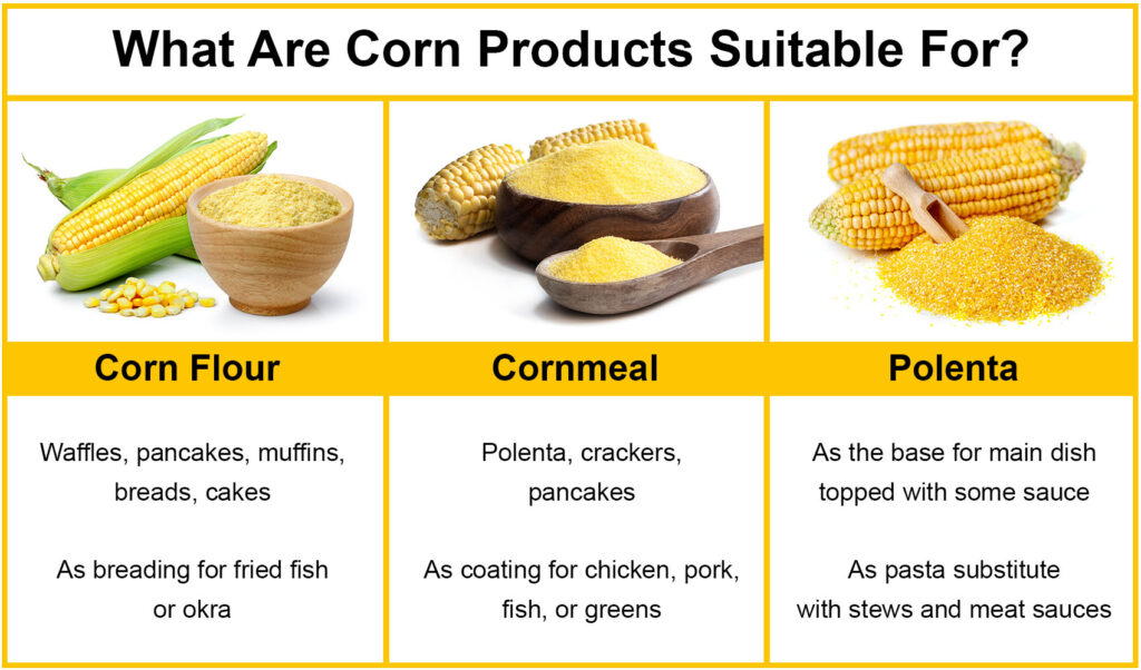 The Difference Between Cornmeal, Corn Flour and Polenta Healthy Blog