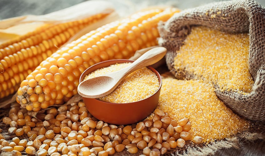 the-difference-between-cornmeal-corn-flour-and-polenta-healthy-blog