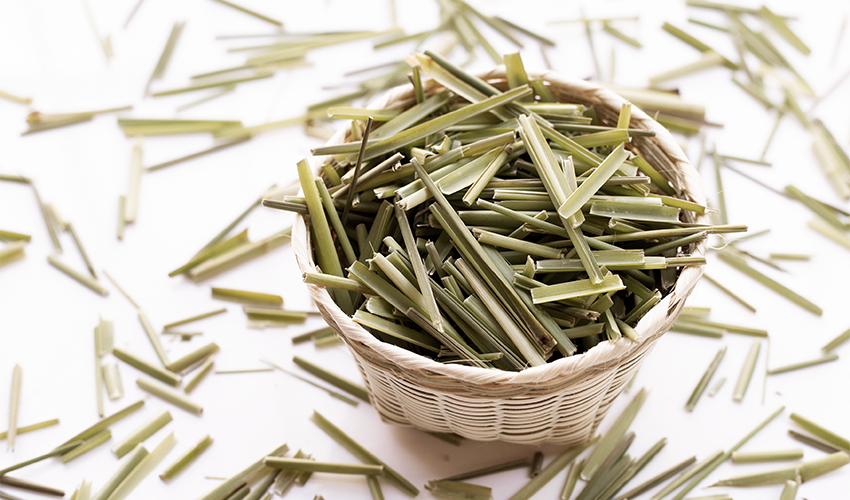 Lemongrass: Benefits, Uses, Side Effects, and Recipes