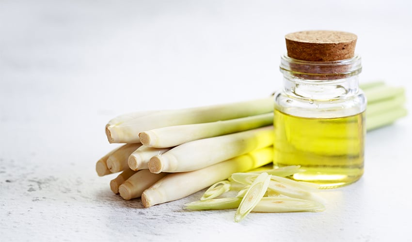 Lemongrass: Benefits, Uses, Side Effects, and Recipes