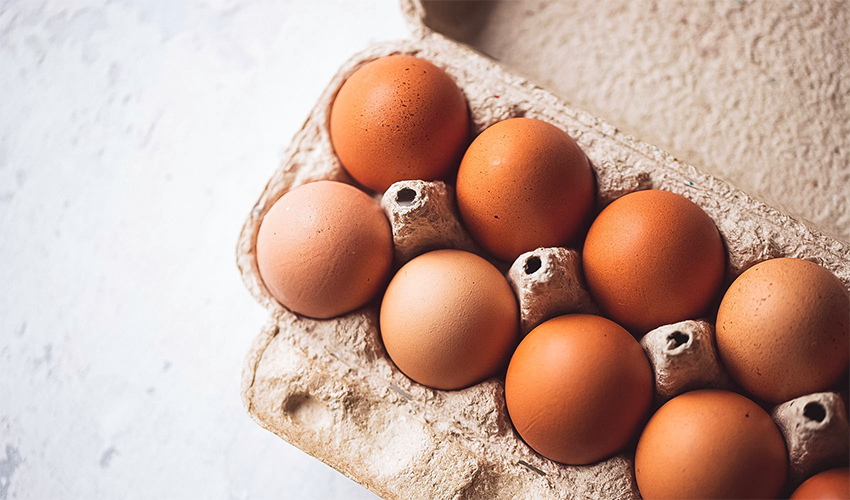 What Are Vegan Eggs? Everything You Need To Know