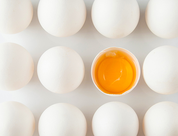 What Are Vegan Eggs? Everything You Need To Know