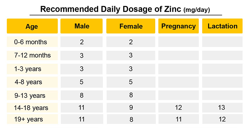 Zinc-Rich Foods and Why Do We Need It