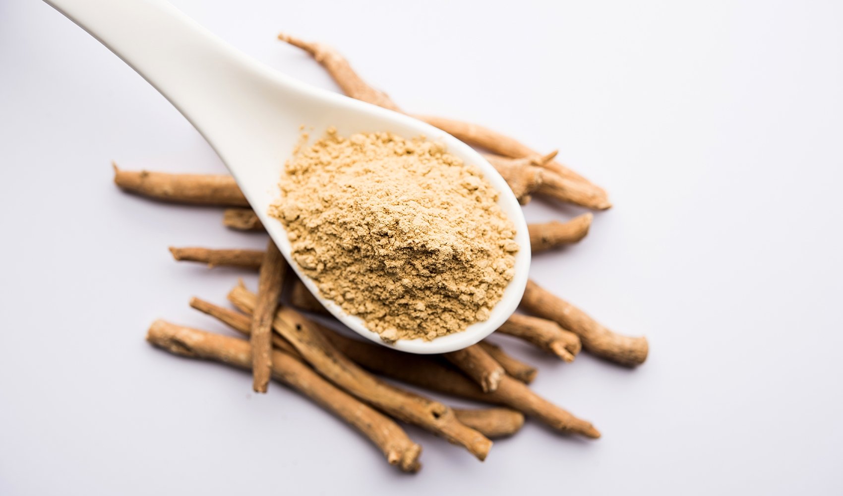 Ashwagandha – a trendy herb and why it is so special!