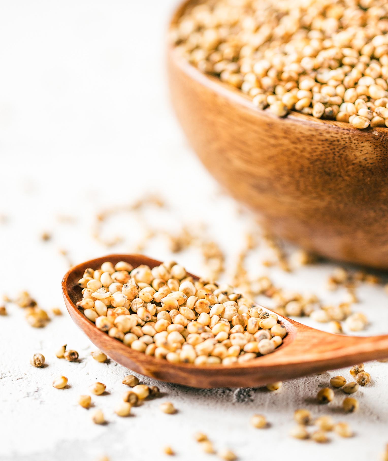 Top 3 Whole Grain Sorghum Recipes