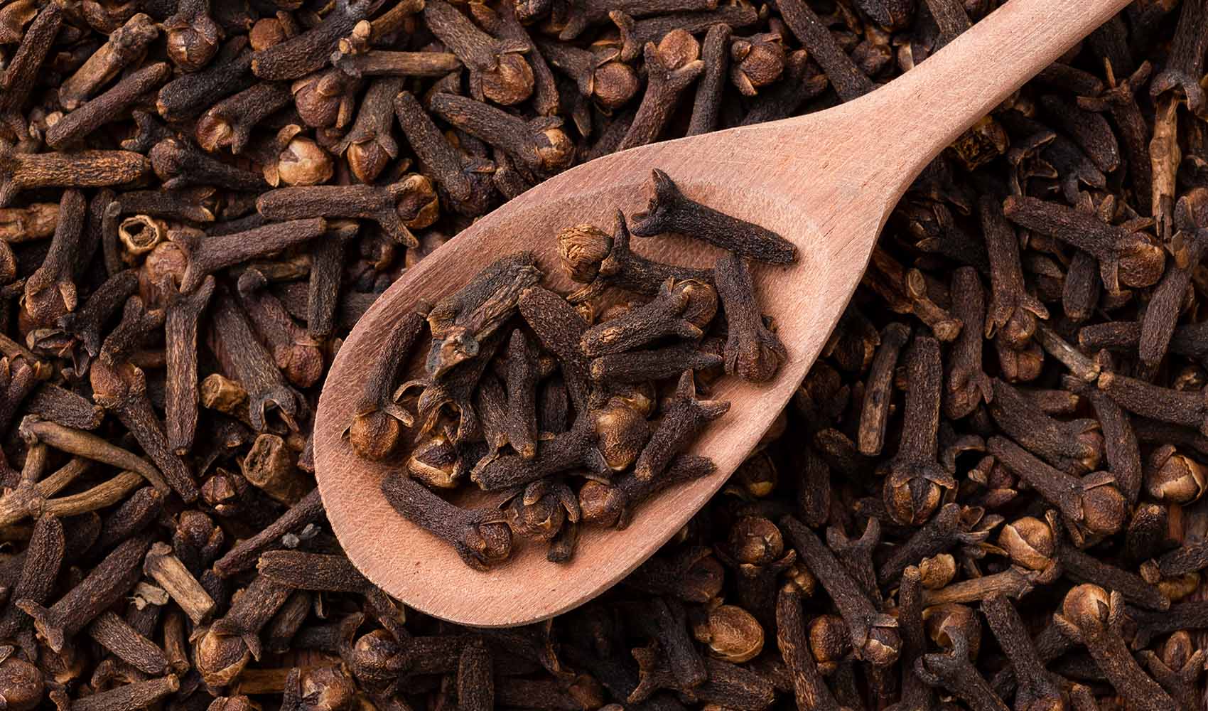 Cloves – The Ultimate Holiday Spice!