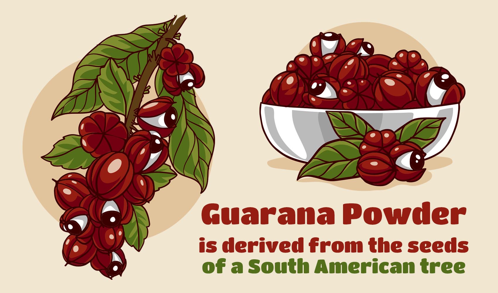 Guarana Powder – What is it exactly