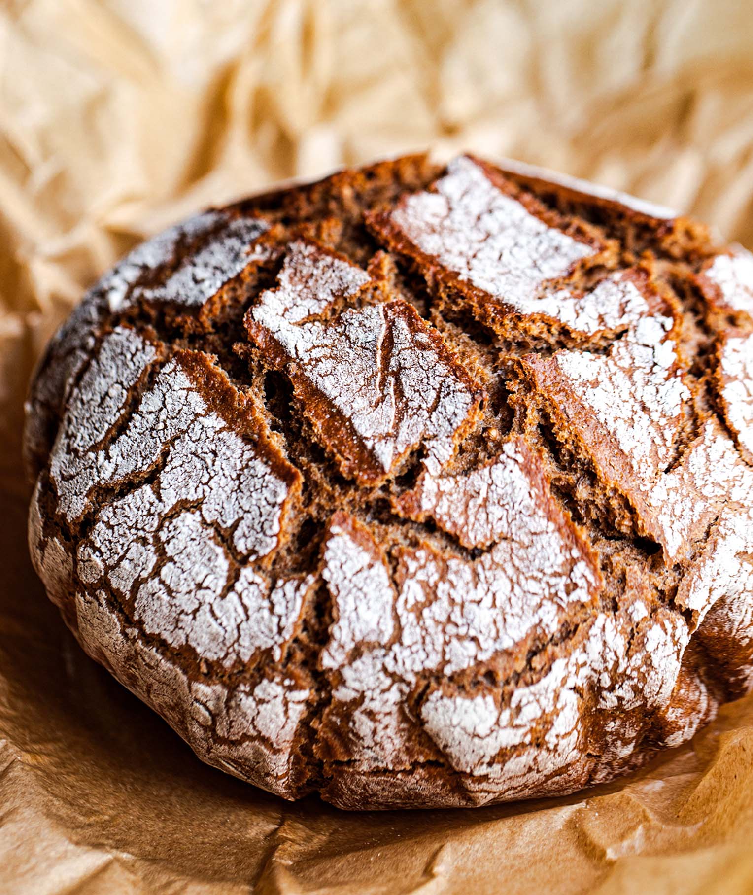 Homemade Easy Rye Bread