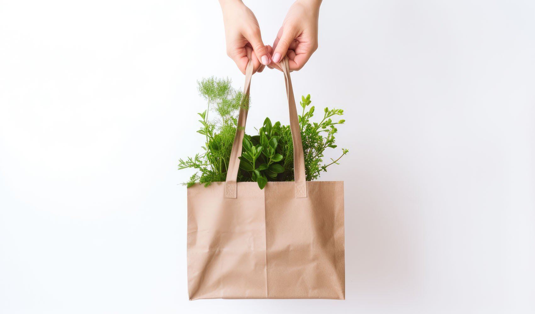 Sustainable-Shopping-5