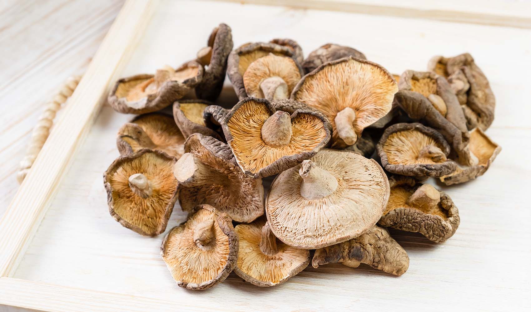 mushroom-101-dried-shiitake