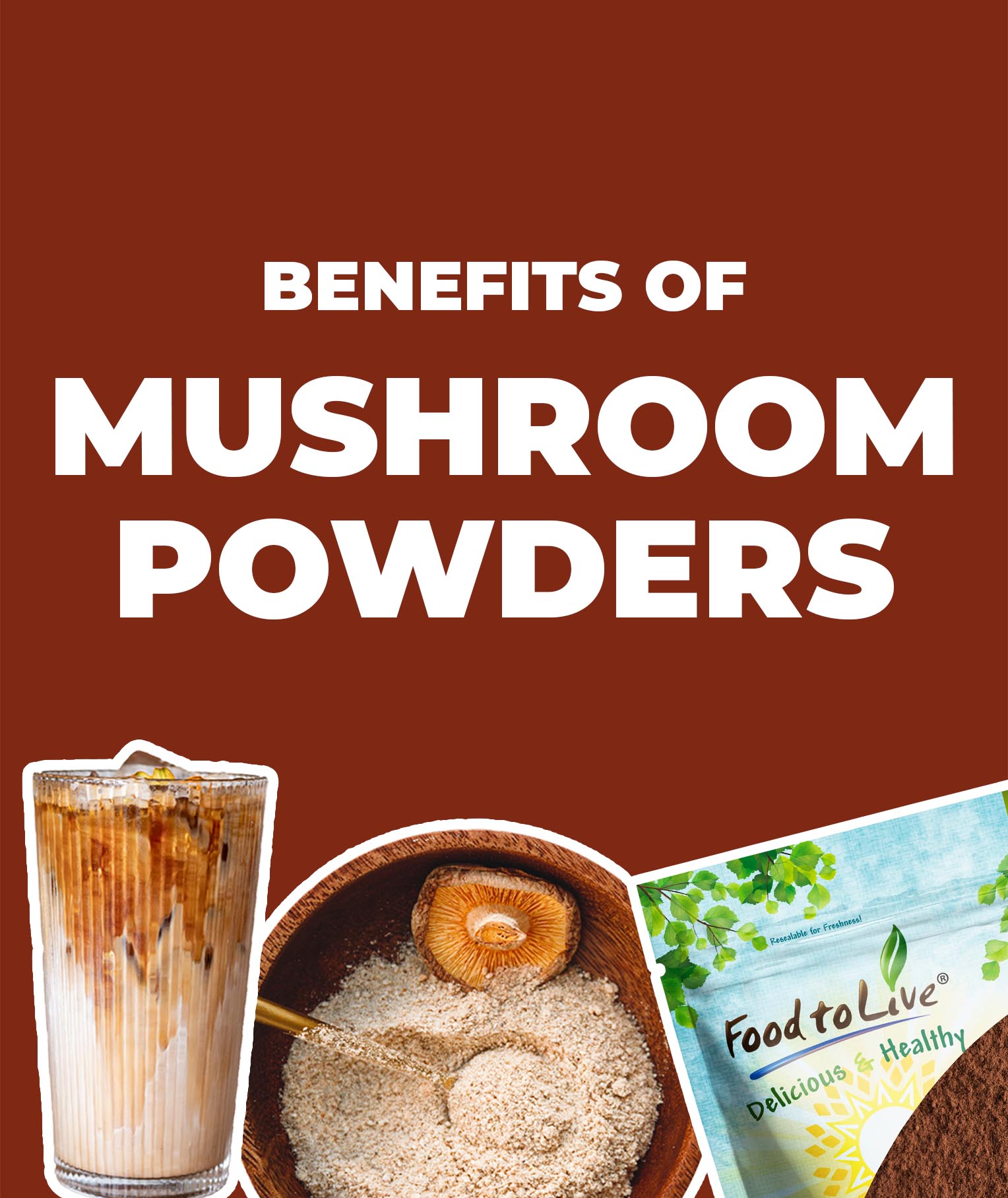 Why You Should Add Mushroom Powder to Your Daily Routine
