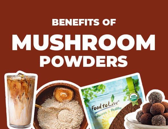 Why You Should Add Mushroom Powder to Your Daily Routine