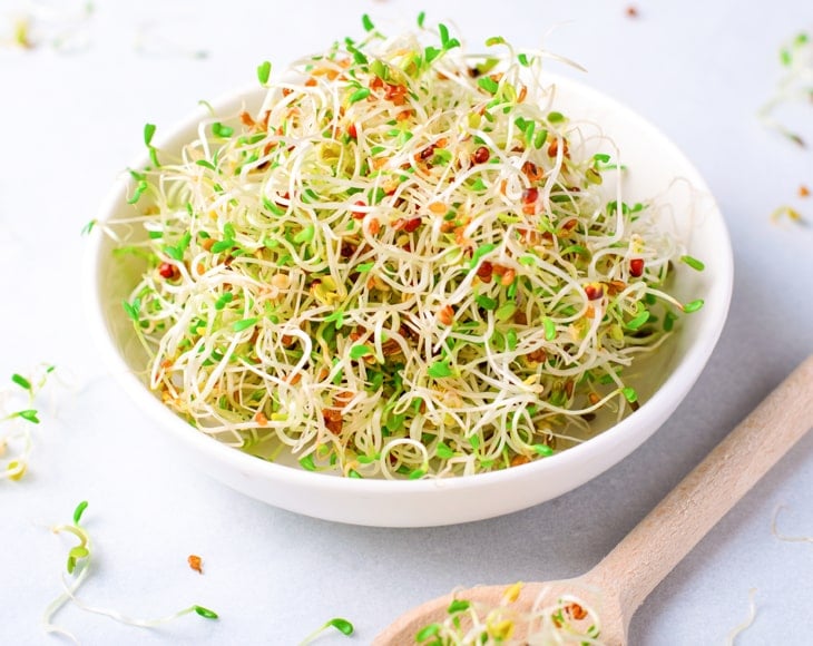 fresh-sprouts-from-alfalfa-sprouting-seeds-min
