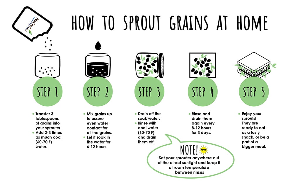 how-to-sprout-grains