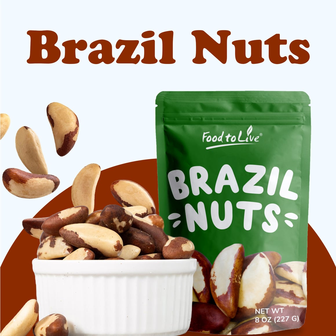 Brazil Nuts 1