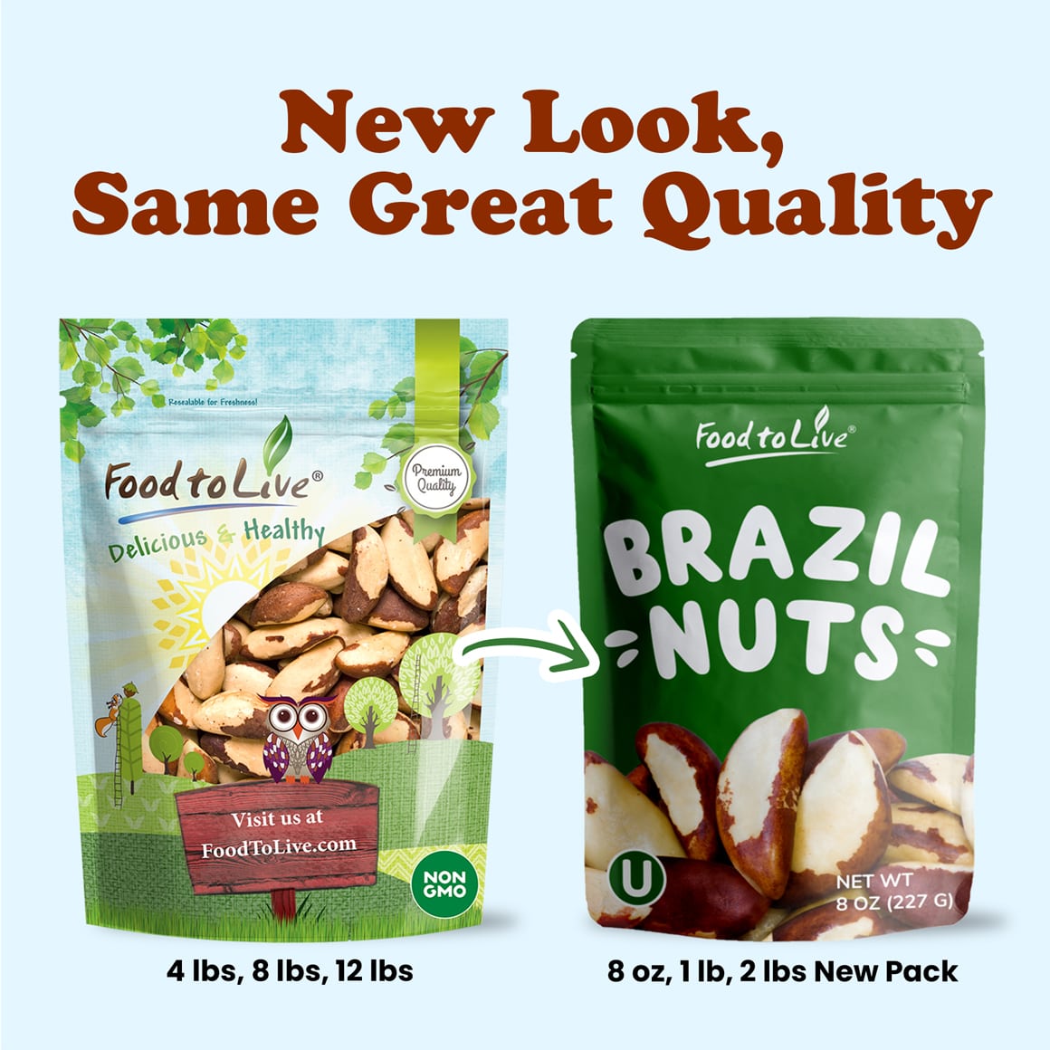 Brazil Nuts 5