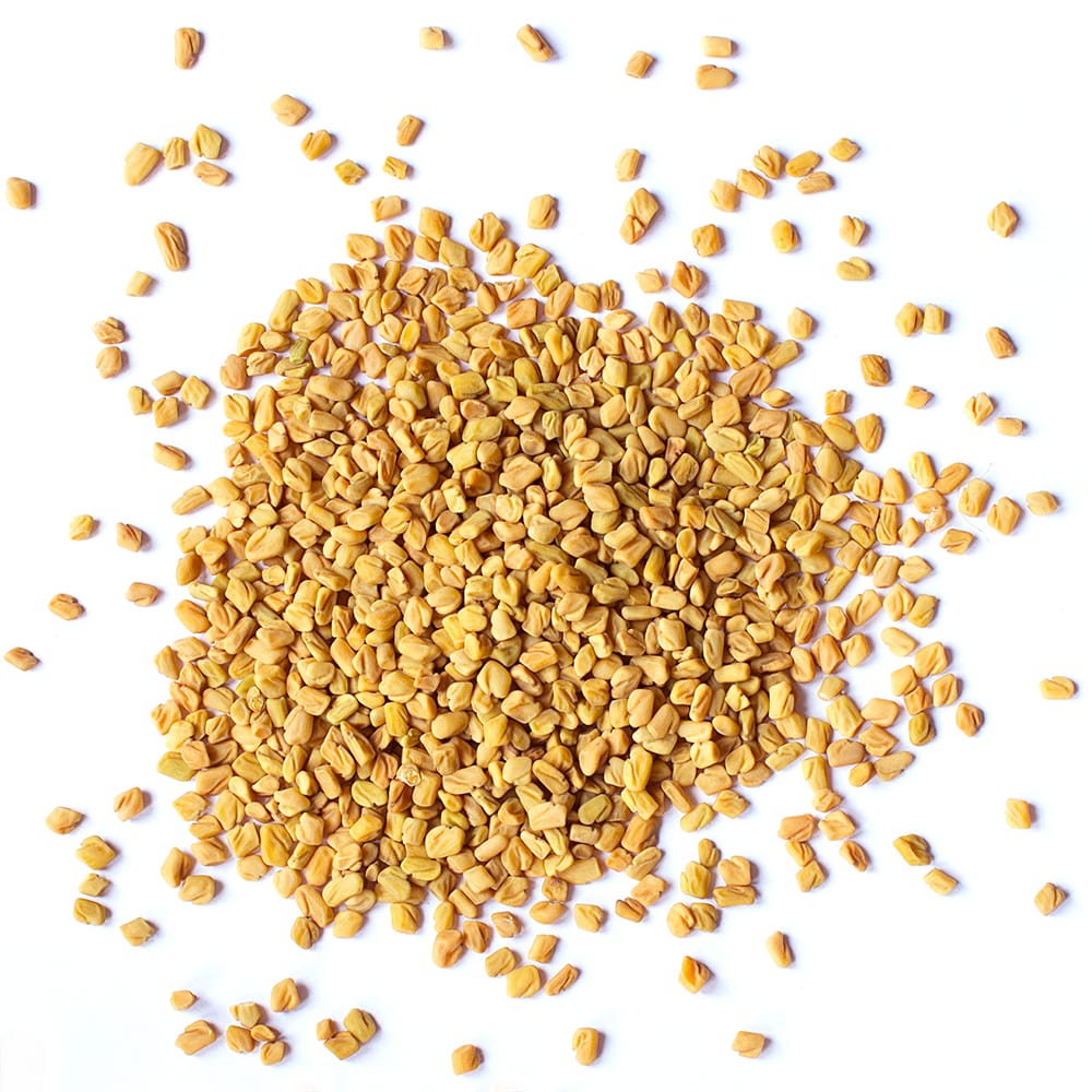 Fenugreek Seeds (Methi) in Bulk from Food to Live