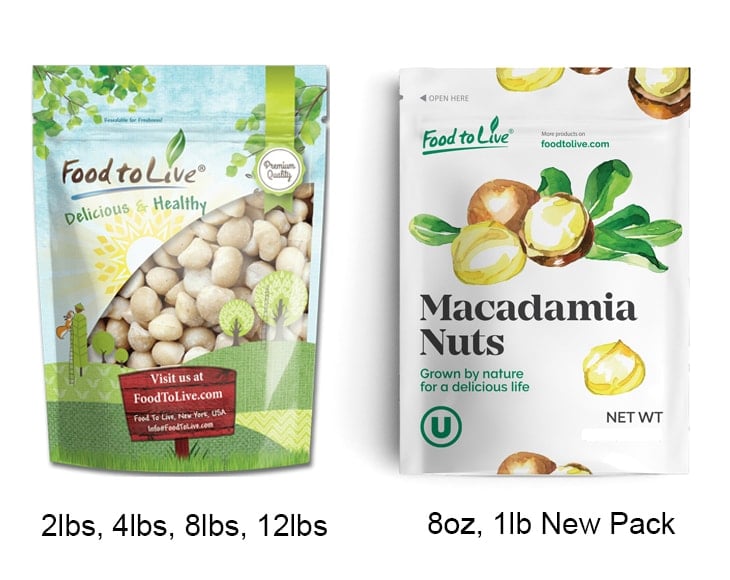 Macadamia Nuts Buy in Bulk from Food to Live